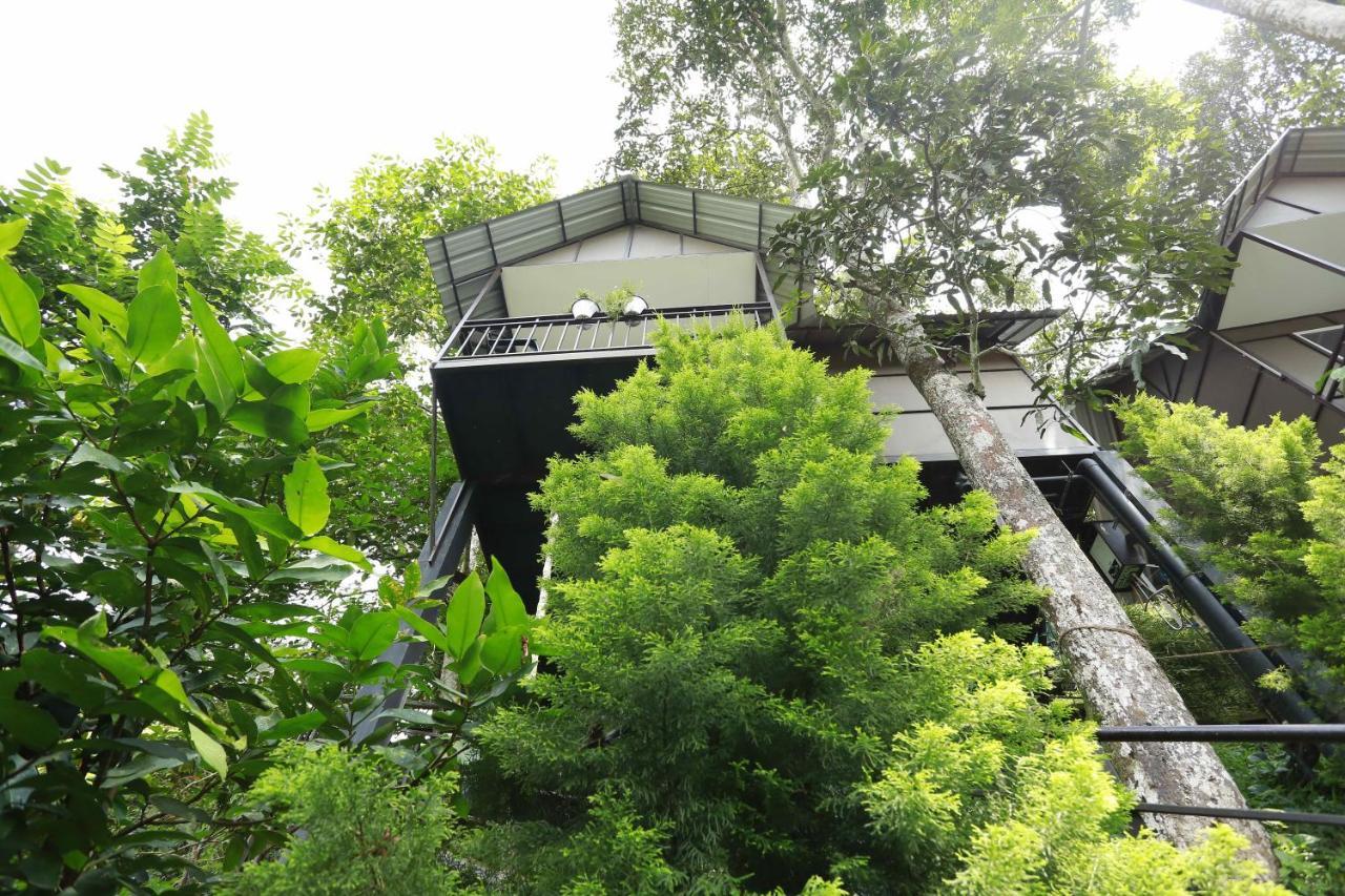 Moselberg Riverside Cottages Муннар Екстер'єр фото