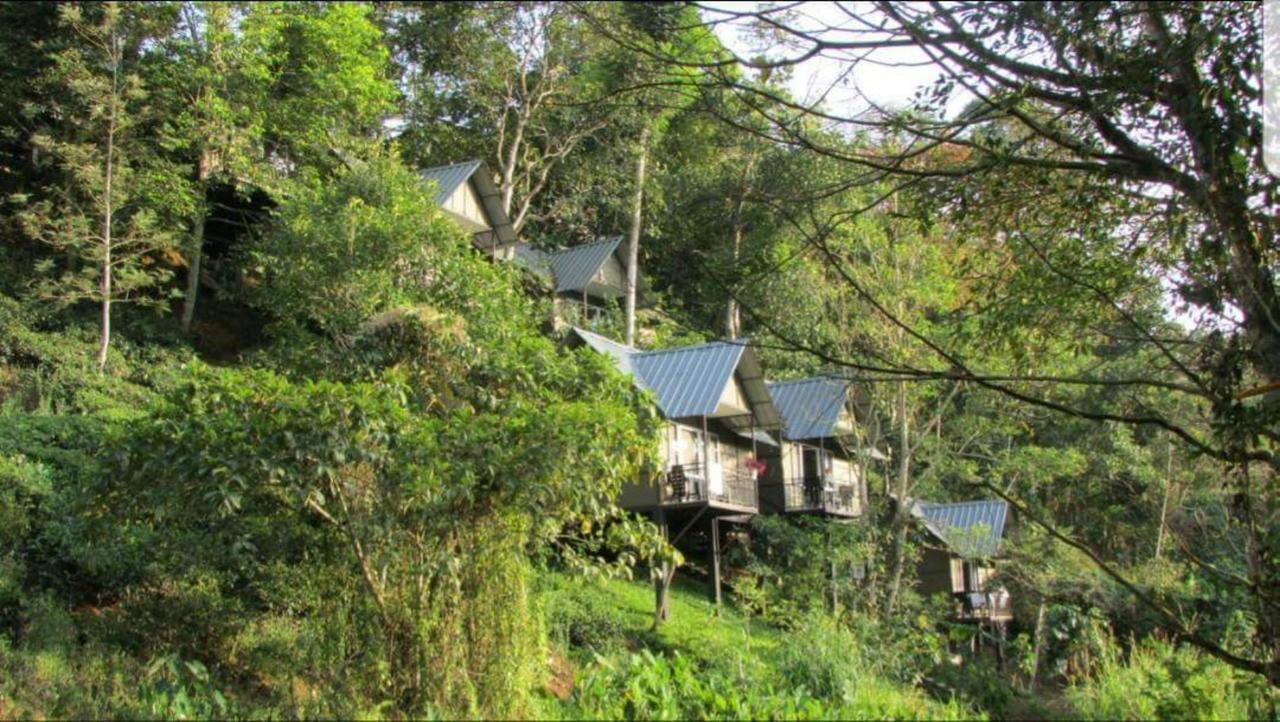 Moselberg Riverside Cottages Муннар Екстер'єр фото